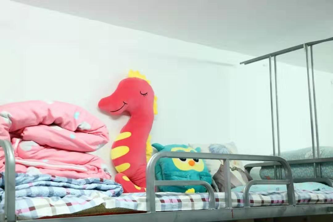 1577079458710317.png 1577079458710317.png